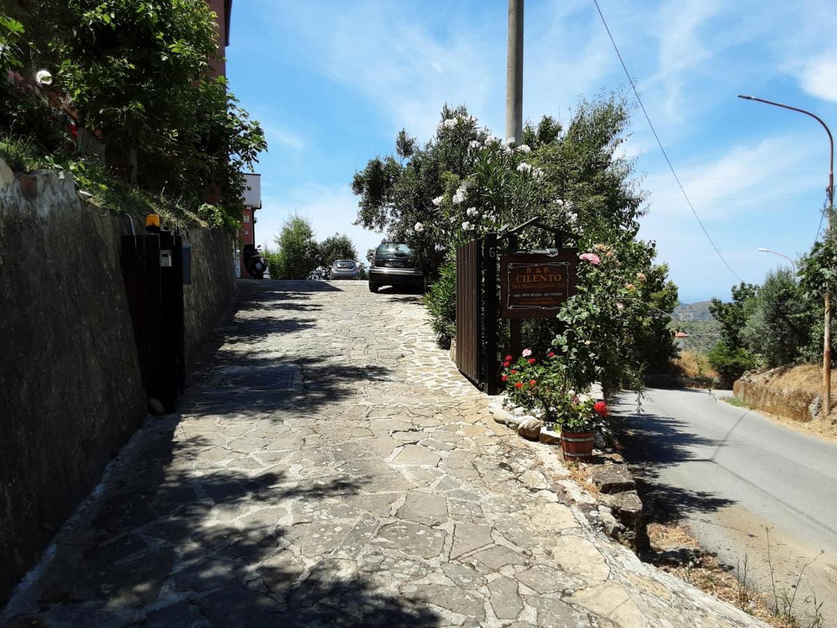 Cilento Bed & Breakfast San Mauro Cilento Dış mekan fotoğraf