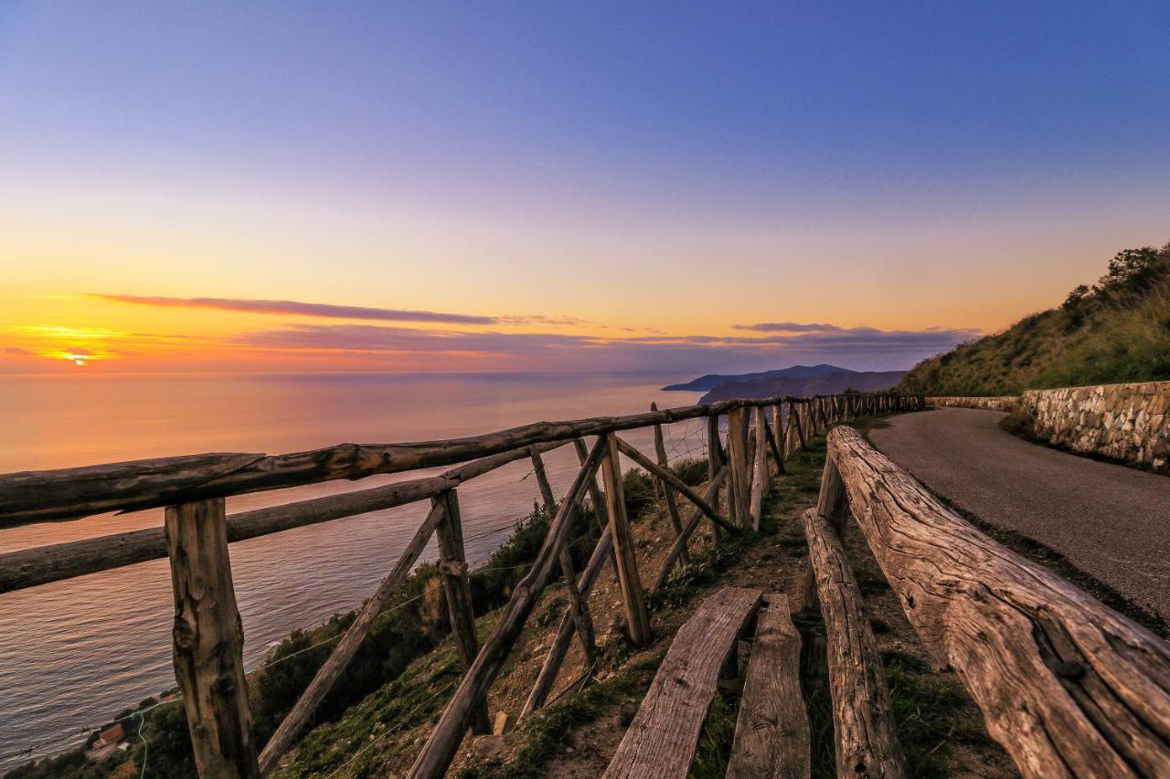 Cilento Bed & Breakfast San Mauro Cilento Dış mekan fotoğraf