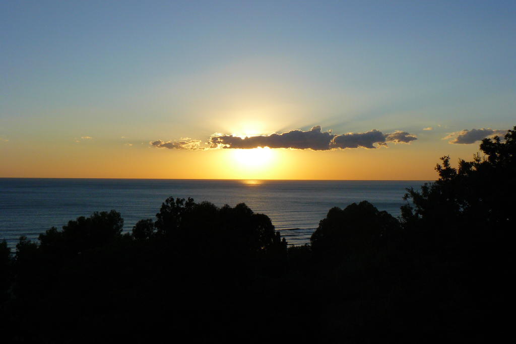 Cilento Bed & Breakfast San Mauro Cilento Dış mekan fotoğraf