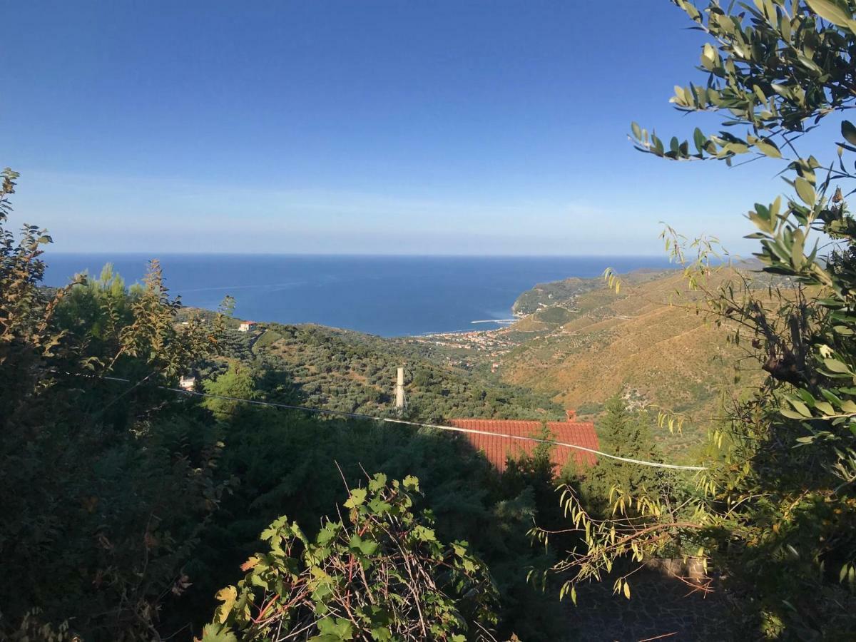 Cilento Bed & Breakfast San Mauro Cilento Dış mekan fotoğraf